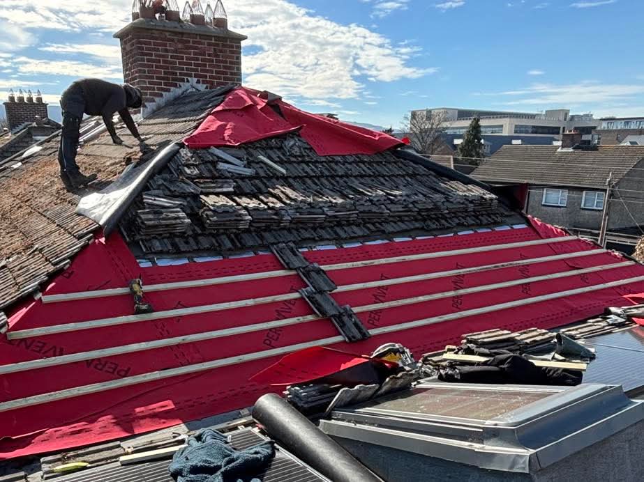 WhatsApp Image 2026-03-31 at 4.17.20 PM (3)