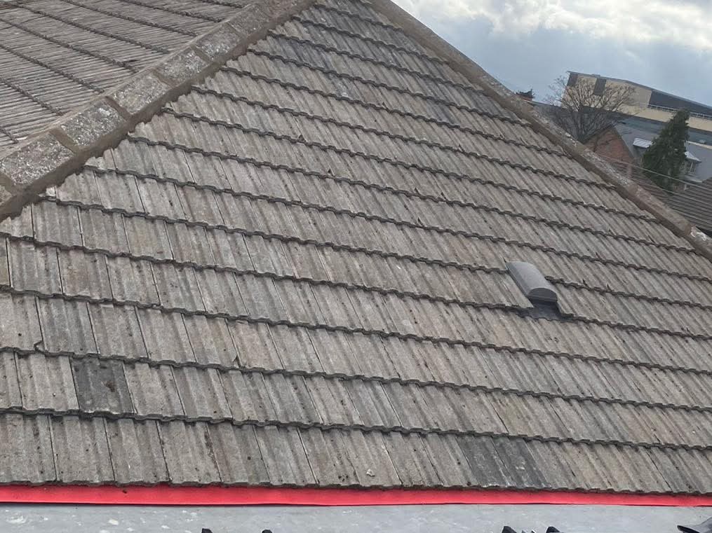 WhatsApp Image 2026-03-31 at 4.17.21 PM (1)